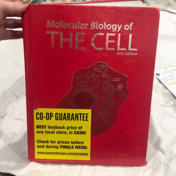 Molecular Biology of The Cell 5th Edition - Picture 1 of 2